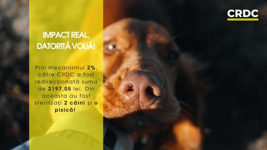 Impact comunitar prin mecanismul de redirecționare a 2% din impozitul pe venit